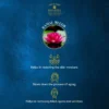 Kumud Neelkamal Lotus Luxury Soap Kumud Neelkamal Lotus Luxury Soap